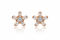 Polaris Earrings